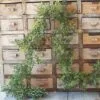 Boxwood Garland - New England Boxwood - 6 Foot -Holiday Ornaments Sales boxwood garland new england boxwood 6 foot 12