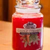 Christmas Tree Hill Candle - Cinnamon Balsam - 26oz -Holiday Ornaments Sales christmas tree hill fragranced candle 22 oz jar cinnamon balsam 18