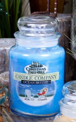 Christmas Tree Hill Candle - Ocean Breeze - 26oz