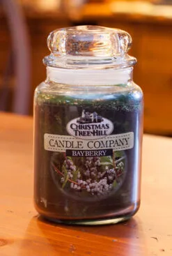 Christmas Tree Hill Candle - Bayberry - 26oz