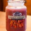 Christmas Tree Hill Candle - Cinnamon Stick - 26oz -Holiday Ornaments Sales christmas tree hill fragranced candle 22oz jar cinnamon stick 18