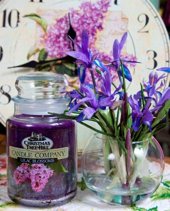 Christmas Tree Hill Candle - Lilac Blossoms - 26oz 3 Christmas Tree Hill Candle - Lilac Blossoms - 26oz