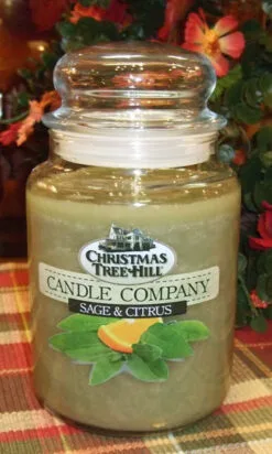 Christmas Tree Hill Candle - Sage & Citrus - 26oz