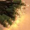 Mini Christmas Lights - Warm White - Electric/Green Cord - Commercial Grade - Set/50 -Holiday Ornaments Sales commercial grade tangle free clear incandescent lights set of 50 23