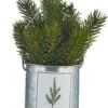 Holiday Botanicals Arrangement - Winter Pine Tin - 7.5 Inch -Holiday Ornaments Sales holiday botanicals arrangement winter pine tin 7 5 inch 10