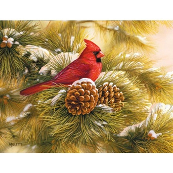 Lang Boxed Christmas Cards - December Dawn Cardinal - Rosemary Millette 3 Lang Boxed Christmas Cards - December Dawn Cardinal - Rosemary Millette