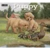 Lang Calendar - 2024 - Puppy - Jim Lamb 2 Lang Calendar - 2024 - Puppy - Jim Lamb -Holiday Ornaments Sales lang calendar 2024 puppy jim lamb 3
