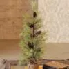 Long Needle Pine Tree With Cones - Table Top Tree - 2 Foot -Holiday Ornaments Sales long needle pine tree with pine cones table top christmas tree 2ft 16