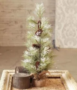 Long Needle Snowy Pine Tree With Cones - Table Top Tree - 2 Foot