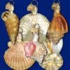 Old World Christmas Glass Ornament - Sea Shell Set Of 6 -Holiday Ornaments Sales old world christmas glass ornament sea shell set of 6 new 21
