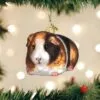 Old World Christmas Glass Ornament - Guinea Pig -Holiday Ornaments Sales old world christmas ornament guinea pig 15