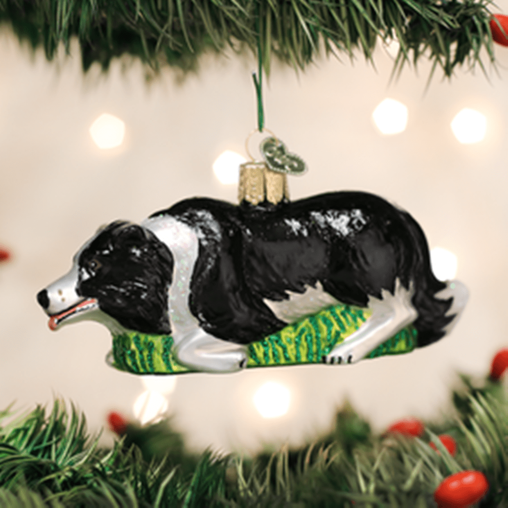 Old World Christmas Glass Ornament - Herding Border Collie 3 Old World Christmas Glass Ornament - Herding Border Collie