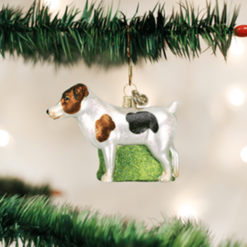Old World Christmas Glass Ornament - Jack Russell Terrier